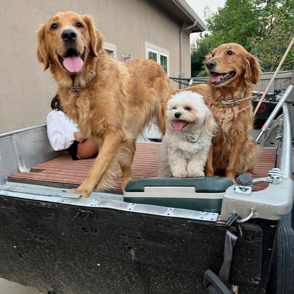 Meet your Posher, Georgia - Picture 6 of 6